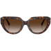 TIFFANY TF4238U 8015/3B